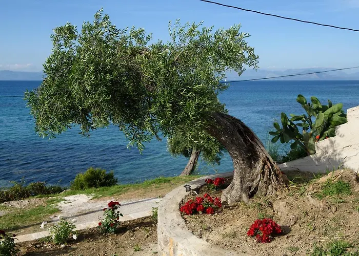 Apartamento Alexandra Mpoukaris