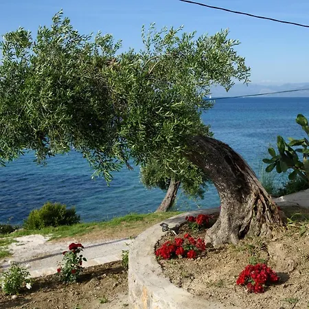 アパート Alexandra ブカリ